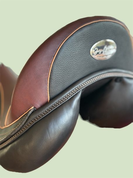 Canaves Celebration Dressur - Detailfoto Canaves Celebration Dressur - Detailfoto