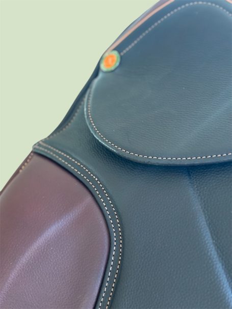 Canaves Celebration Dressur - Detailfoto Canaves Celebration Dressur - Detailfoto